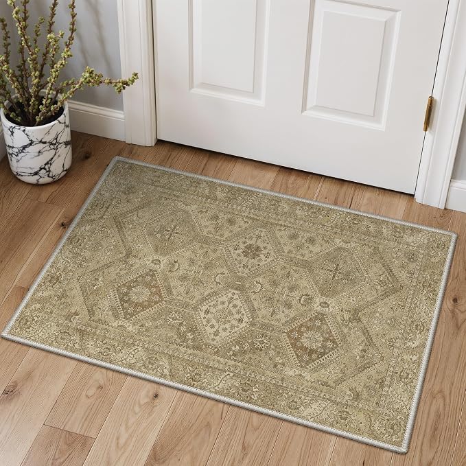 GENIMO Area Rug 2x3 Doormat, Machine Washable Low Pile Rugs, Small Retro Entryway Mat for Entrance, Hallway, Kitchen and Corridor, Tan Brown