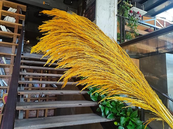 Golden Pampas Grass Decor Tall,Dried Pampas Grass, Pompas Floral for Vase, Elegant Feather Flowers for Wedding Decorations, Living Room Decor (Natural Gold, 8pcs 31.5"(80cm))