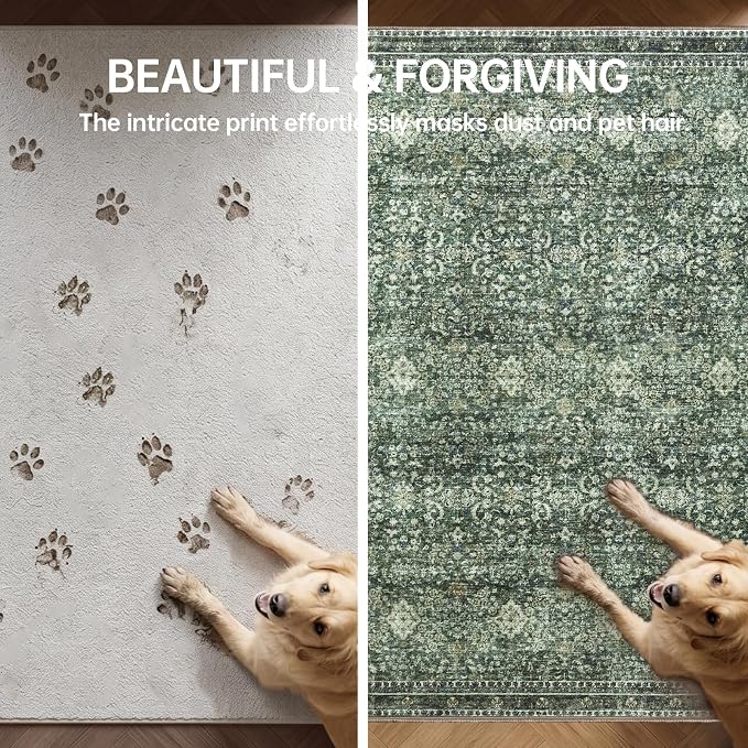 Sasttie 3x5 Rug, Ultra-Soft Washable Rug, Low Pile Foldable Thin Carpets with Non-Slip Backing, Skin-Friendly Stain Resistant Carpet for Living Room, Bedroom, Kitchen, Dorm, 3x5, Dark Green