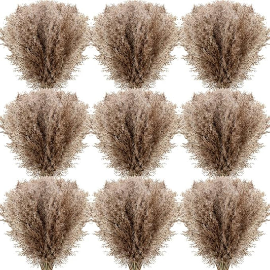 Janinka 250 Pcs Dried Pampas Grass Decor 17 Inch Bulk Natural Small Pompous Wild Fluffy Pampas Floral Boho Decor Flowers for Wedding Party Farmhouse Home Bathroom Office Kitchen (Brown)