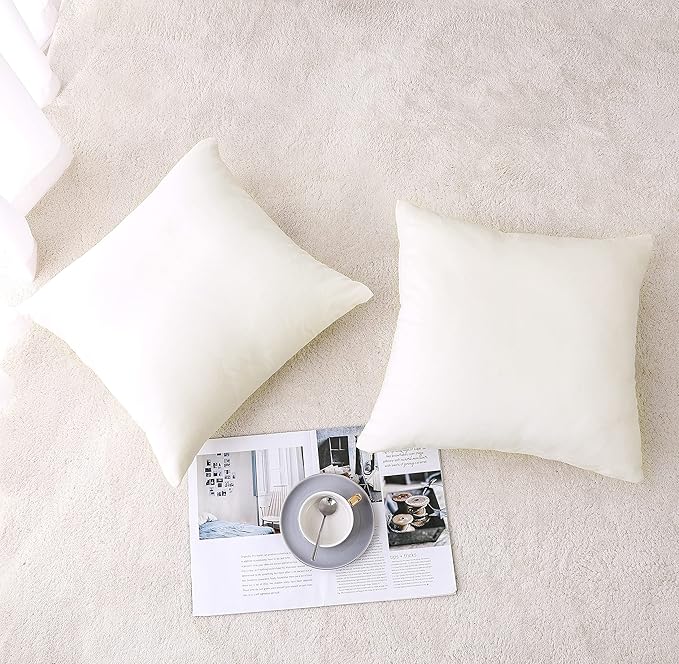 NiNi ALL Decorative Throw Pillow Covers Velvet 28x28 Inch Pack of 2 Cream White Cushion Covers Soft for Couch Sofa Bedroom Living Room Outdoor