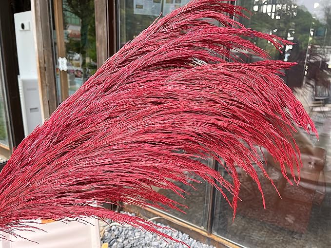 Red Pampas Grass Decor Tall for Floor Vase,Long Dried Pampas Grass, Large Pompas Floral, Elegant Feather Flowers for Wedding Decorations, Living Room Decor (Natural Red, 4pcs 43.3"(110cm))